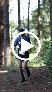 BIB:  <button type="button" onclick="openModal(26567251)" class="btn btn-primary btn-sm float-right" data-toggle="modal" data-target=".modal-high-quality">
                <i class="fa fa-download"></i> Download
                </button>